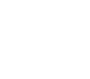 Bluesky social media logo