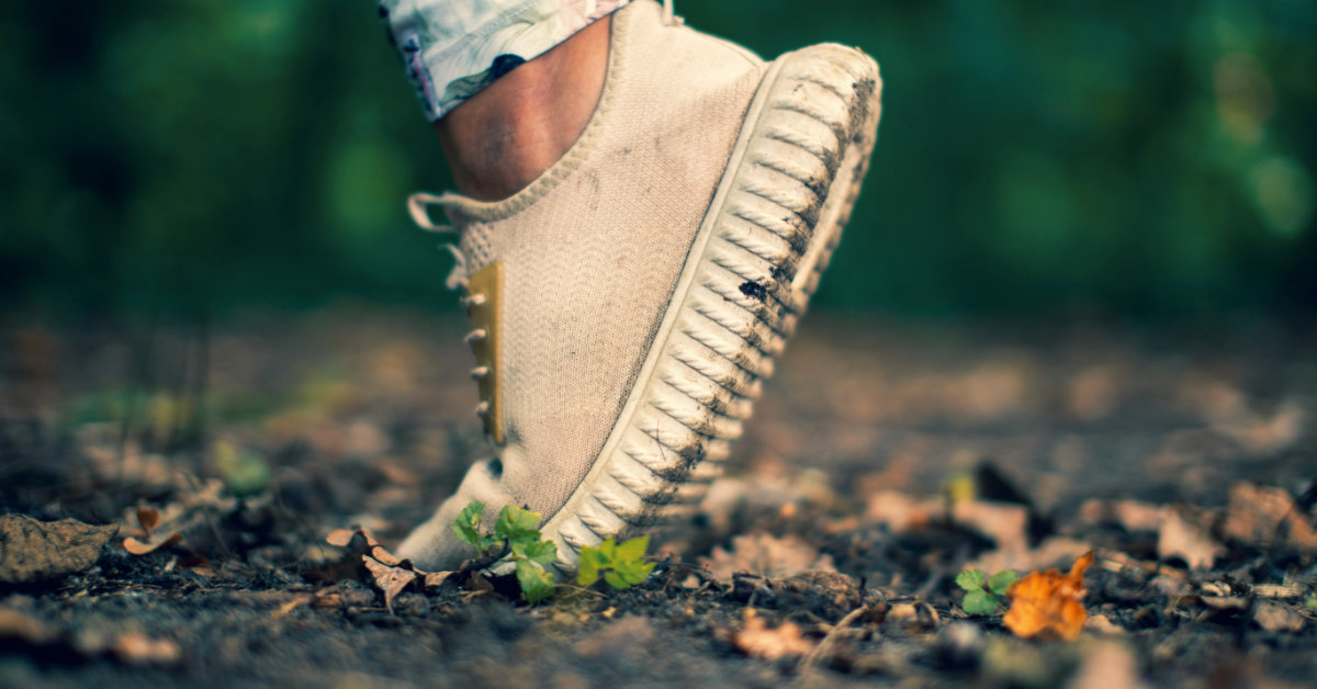 side on foot in white trainer shoe walking on leafy ground